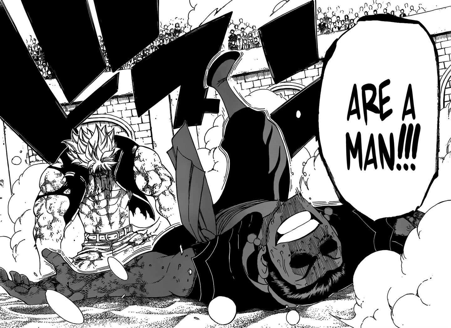 Fairy Tail Chapter 278 24